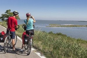 sant'alberto_boscoforte