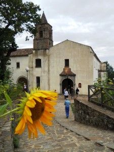 15-Calabria-nocara