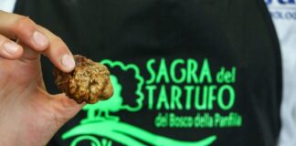 Sant’Agostino (Fe), tutto pronto per la Sagra del tartufo di settembre