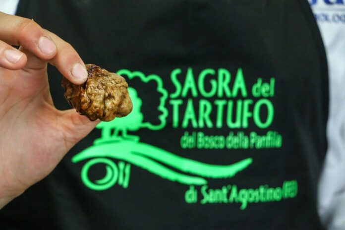 Sagra del Tartufo di Sant'Agostino 3