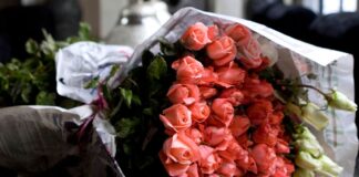 Marocco, a Marrakech per trascorrere un soggiorno al riad Dar Darma e vivere un San Valentino da mille e una notte