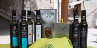 Cavaion Veronese (Vr), ecco la 2^edizione del Wardagarda, festa dell’olio Garda Dop
