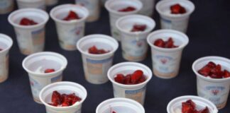 Vipiteno (Bz), al via la 19^ edizione delle Giornate dello Yogurt