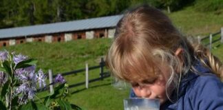 Strada della Mela e dei Sapori delle Valli di Non e di Sole, per un’estate all’insegna del gusto e dei prodotti tipici