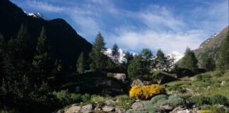 Parco Nazionale Gran Paradiso, per vivere la natura anche d’estate