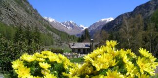 Valle di Cogne, per un’estate 2017 ricca di eventi a misura di tutti