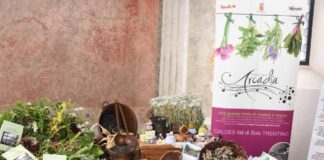 Val di Sole (Tn), Arcadia 2017 propone musica e sapori tra corti medievali e manieri, per un suggestivo viaggio nelle tradizioni
