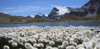 Parco Nazionale Gran Paradiso, tutto pronto per la 15^ edizione di A piedi tra le nuvole