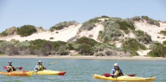 South Australia, realizza nel Coorong il primo percorso dedicato alle canoe