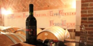 Fattoria del Colle (Si), propone suggestivi Wine Tour in cantina per vivere momenti unici