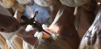 Parma, a settembre 2017 festeggia il prosciutto tra tour enogastronomici a tema ed un Festival dedicato