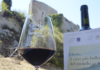 Castiglione d’Orcia (Si), con Calici di Stelle per vivere momenti gourmet tra vino, prodotti tipici e divertimento