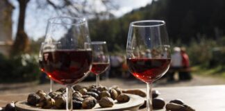 Lana e dintorni (Bz), l’autunno è Festa della castagna