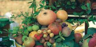 Casola Valsenio (Ra), per fare festa con i frutti dimenticati ed i marroni
