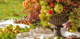 Strassoldo (Ud), con l’iniziativa In Autunno: Frutti, Acque e Castelli, alla scoperta di antichi manieri, tra natura, storia e fantasia