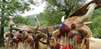 Valbrevenna (Ge), la festa U Mundantigu propone tradizioni, sapori e mestieri antichi