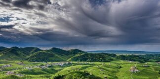 Conegliano Valdobbiadene (Tv), per un tuffo tra colline ricche di natura, storia e grandi vini
