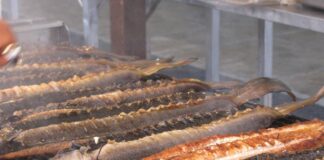 Comacchio, in autunno propone la 19^ Sagra dell’Anguilla, per un viaggio nella cultura non solo marinara della città lagunare