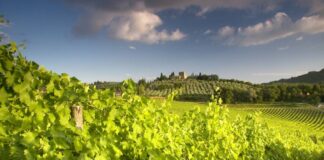 Barberino Val d’Elsa (Fi), Tenuta Bonomonte tra natura, grandi vini Chianti ed ospitalità