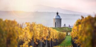 Repubblica Ceca, d’autunno per vivere tradizioni, gastronomia, folklore, i riti e le feste della vendemmia