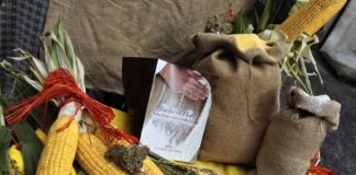 Sutrio (Ud), con Farine di flor-Mulini, farine e delizie della Carnia, si celebrano le più tradizionali colture contadine