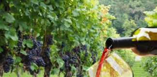 Toscana, con il nuovo sito Visittuscany.com, per andare alla scoperta della Regione e di tanti itinerari enogastronomici