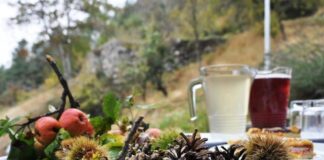 Con DiVin Ottobre, l’autunno colora la Strada del Vino e dei Sapori del Trentino