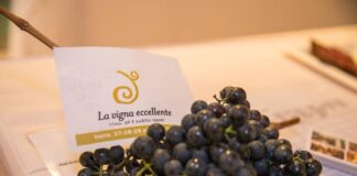 La Vigna Eccellente. Ed è subito Isera (Tn), al via la XV^edizione della rassegna dedicata al Marzemino