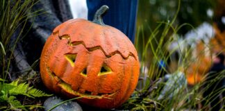 Firenze, per Halloween tra tombe monumentali, scheletri e streghe, con un pacchetto dedicato dell’hotel Brunelleschi