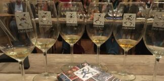 Bologna, Enologica 2017, un viaggio di gusto tra le eccellenze vinicole dell’Emilia-Romagna