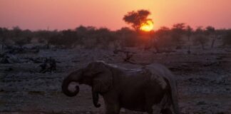 African Explorer, per trascorrere il Capodanno 2018 in Namibia