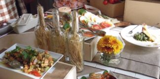 Salento, terra di grande fascino da assaporare, tra vini d’eccellenza ed olio di grande qualità