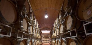 Cantina Valpantena (Vr), lancia sul mercato italiano l’Amarone Biologico Ninfeo, annata 2012