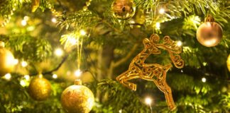 CDSHotels, propone tante idee regalo divertenti ed originali, con pacchetti personalizzati da mettere sotto l’albero