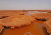 Etiopia, con Viaggiaconcarlo per un viaggio in Dancalia alla scoperta delle radici dell’uomo