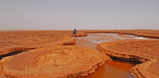 Etiopia, con Viaggiaconcarlo per un viaggio in Dancalia alla scoperta delle radici dell’uomo