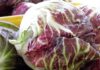 Radicchio di Chioggia Igp, sbarca in Finlandia