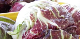 Radicchio di Chioggia Igp, sbarca in Finlandia