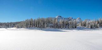 Valtellina, in Valmalenco d’inverno, tra neve e tanti eventi