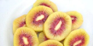 Jingold, presenta il kiwi rosso