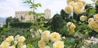 Merano, riaprono i Giardini di Castel Trauttmansdorff