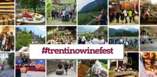 Strada del Vino e dei Sapori del Trentino, con #trentinowinefest 2018 in mostra le eccellenze enologiche del territorio