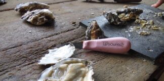 Delta del Po (Ro), l’ostrica rosa tinge di qualità e gusto la Sacca di Scardovari