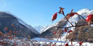 Valle d’Aosta, a Cogne per una vacanza invernale anche last-minute tra eventi di tradizione e sport