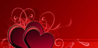 Fontaneto d’Agogna (No), trascorrere San Valentino nella suite del nuovo Emotional Grand Motel, come ai tropici