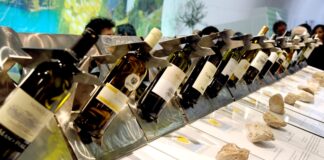 Trentino, con trentinowinefest adesso è tempo di DiVinNosiola, quando il vino si fa santo