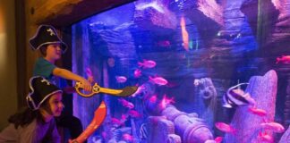 Gardaland SEA LIFE Aquarium, anche i pesci festeggiano in maschera per Carnevale 2018