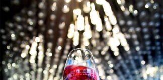 Bordeaux, La Cité du Vin allestisce e propone una mostra temporanea dedicata a Porto