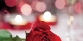 Abu Dhabi, una fuga romantica a San Valentino per immergersi in un una destinazione straordinaria