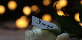 Gardaland SEA LIFE Aquarium, apertura straordinaria per trascorrere un romantico San Valentino 2018